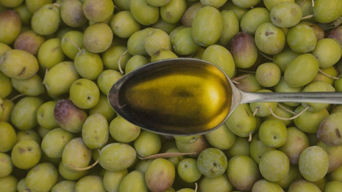 Huile d’olive et santé : bienfaits, comment la choisir et éviter les erreurs